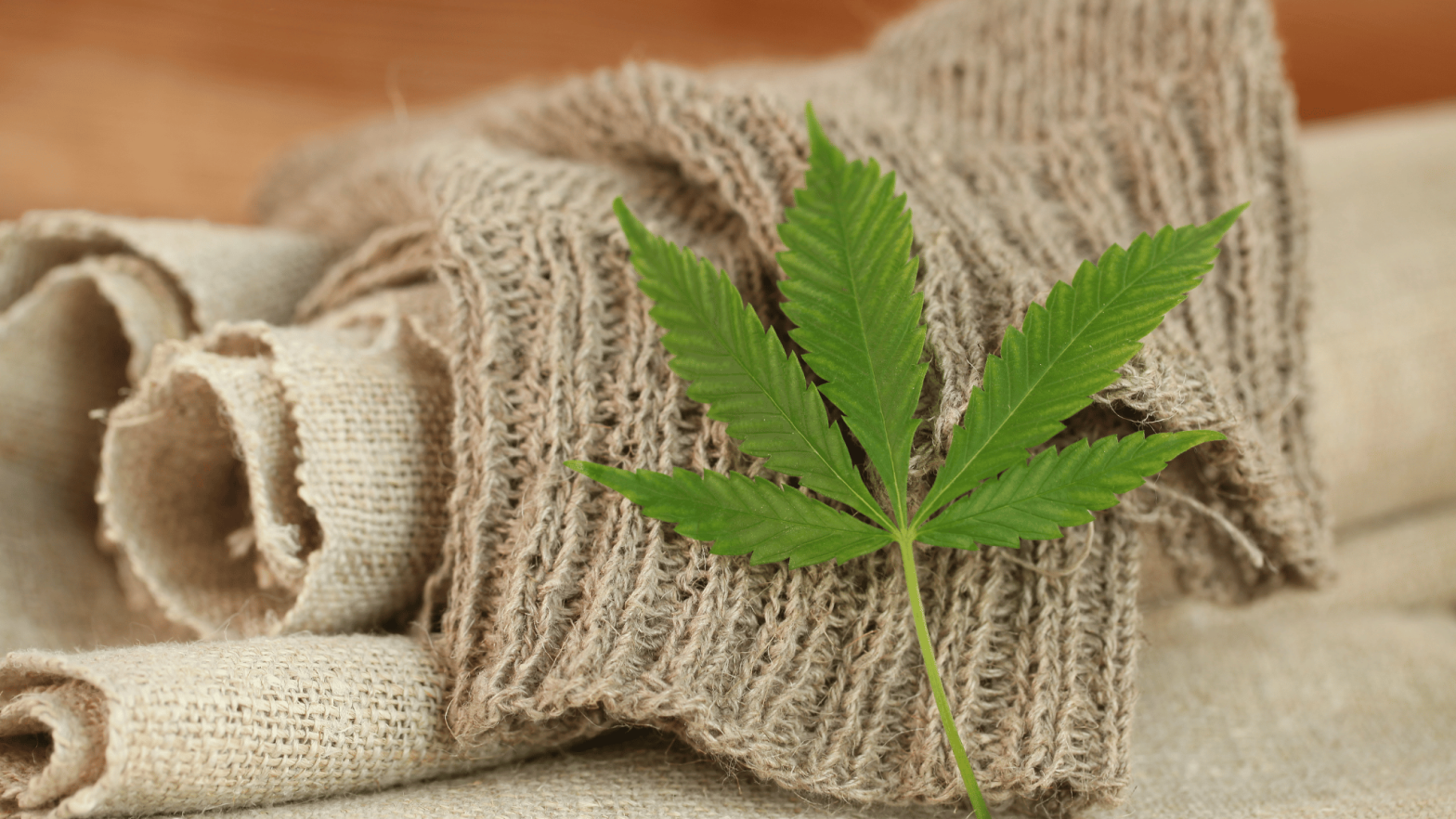 Hemp in Bag Manufacturing